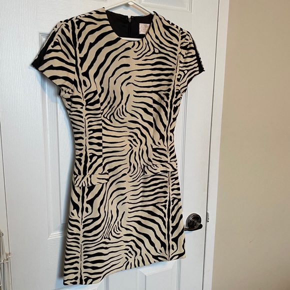 Zebra mini-dress! 🦓 animal print faux suede dress - Picture 1 of 11